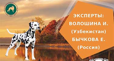 Осенние Встречи - 2025
