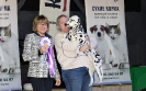 Best in show 3