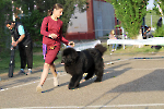 Фото с апрельских выставок 2024 г._94